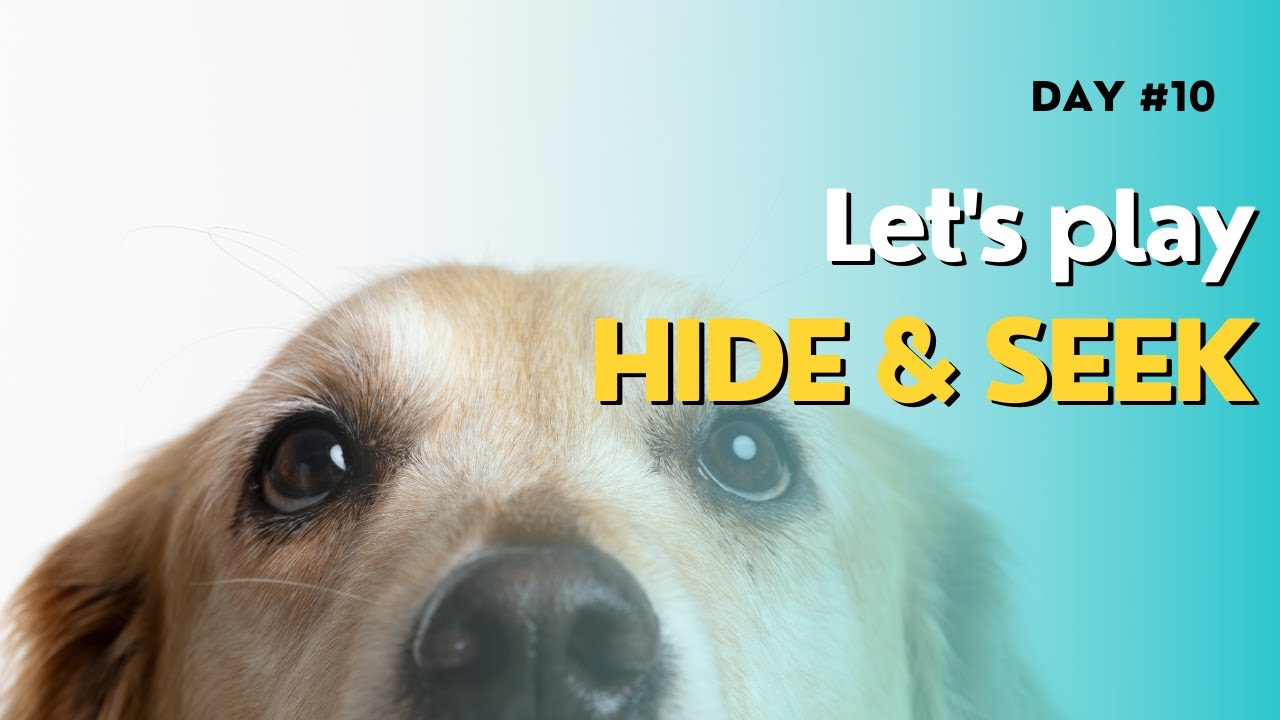 😀Funny Journal Of Cats And Dogs 