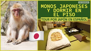 LOS MONOS  🐵 JAPONESES 🇯🇵 Y UNA NOCHE DURMIENDO EN EL PISO 🥱  - TOUR POR JAPÓN 🈯️