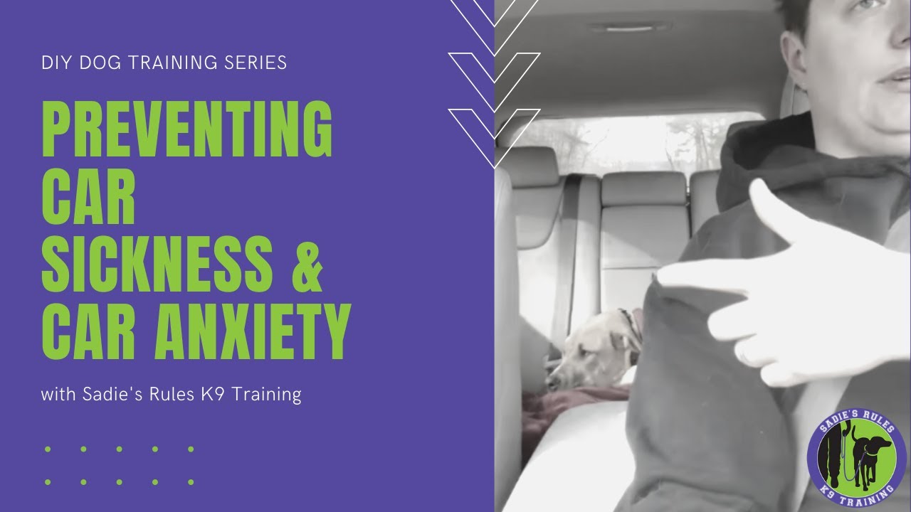 HOW TO PREVENT CAR SICKNESS / CAR ANXIETY IN DOGS - Use the double down to help with motion sickness