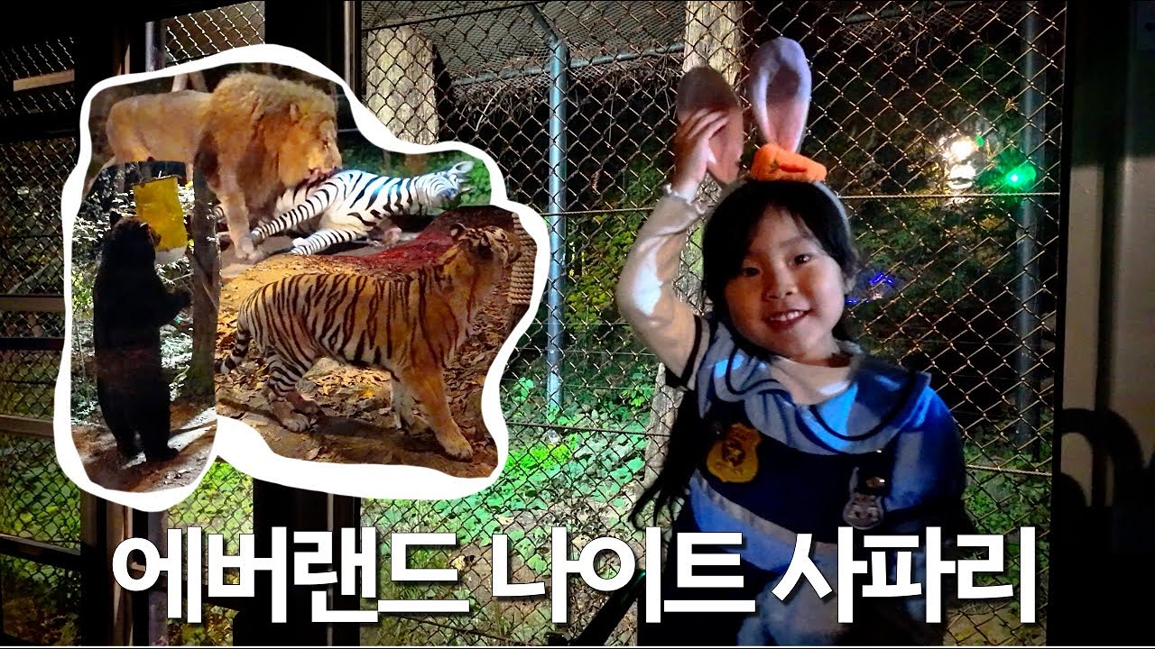 [VLOG] 주토피아 주디의 에버랜드 나이트 사파리 🐰🦁