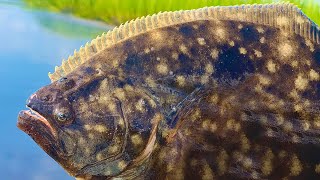 FLOUNDER FISHING: Tips on catching Flounder on the flats