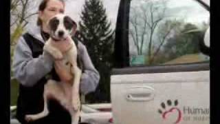 Humane Society of Huron Valley