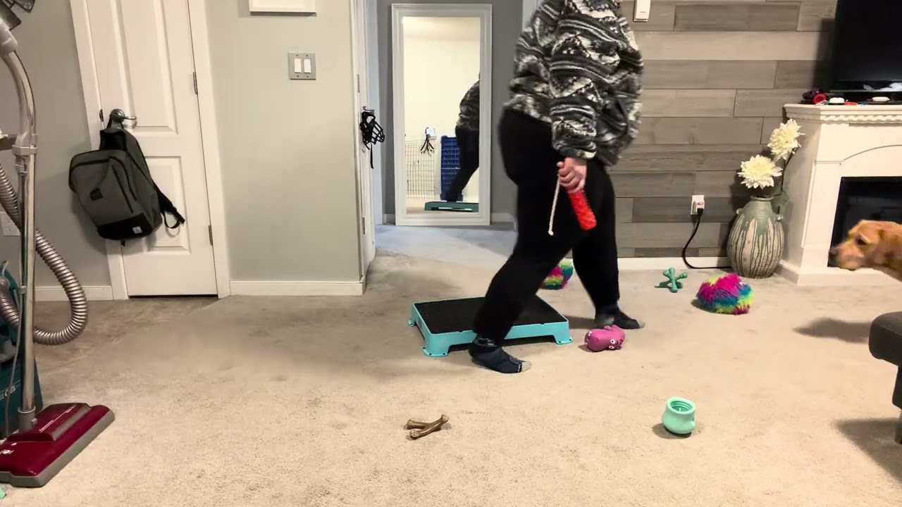 1/25/2026 Fronts, Legs and Retrieve to Hold while Sitting on Platform