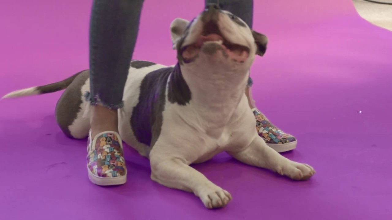 nurse mate for puppies