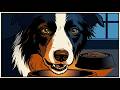 Votre chien vous regarde fixement quand il mange ? Voici le message urgent qu'il vous envoie