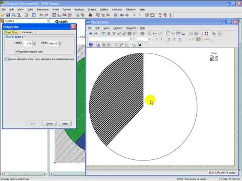 How To Make Pie Chart In Spss