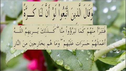 القران الكريم سورة البقرة الاية 167