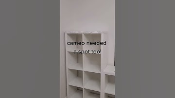 Ikea kallax hack: vertical & horizontal storage for machines