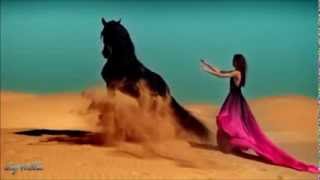 Cüneyt Ergün -Hüznedar