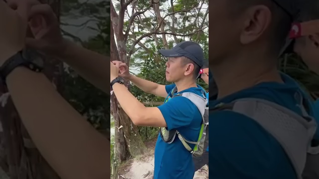 Unlock the Secrets of Gunung Panti: The Ultimate One-Day Adventure from Singapore You Can't Miss!