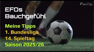 Meine Bundesligatipps für den 14. Spieltag der Saison 2025/2026