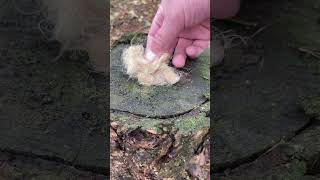 Awesome Survival Tool Firestone By Forclaz