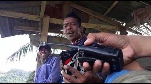 Om dasmin kami suku Dondo anak petani