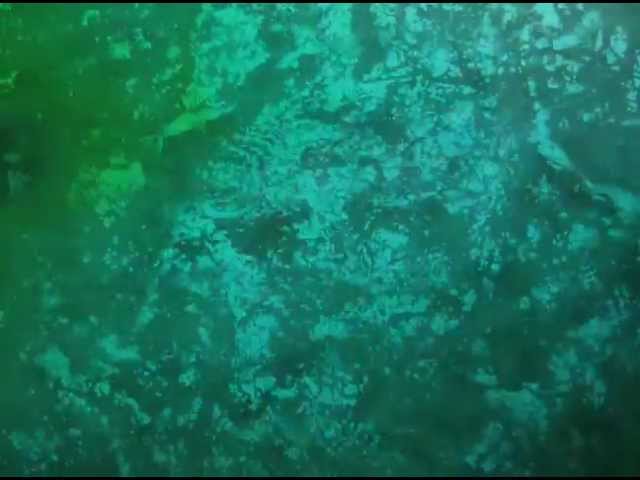 Watch Hear Hums - Shrines on YouTube Watch Hear Hums - Shrines on YouTube