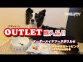 【購入品】OUTLET購入品紹介！！【ボーダーコリー】