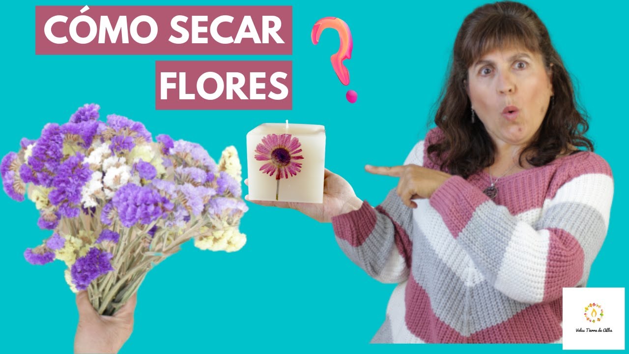 Flores naturales para secar