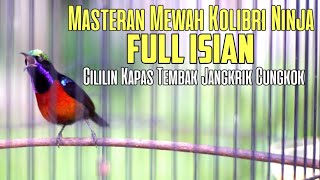 MASTERAN KONIN GACOR FULL TEMBAKAN CILILIN JANGKRIK KAPAS TEMBAK CUCAK CUNGKOK