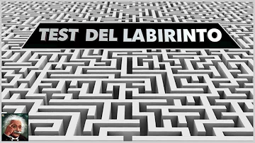 Chi si perde nel labirinto?