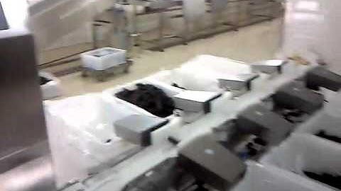 Sea Cucumber online weight sorting machine -Dahang Automation