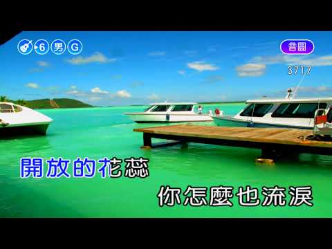 美酒加咖啡~鄧麗君~男G調~伴奏導唱
