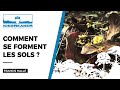 #05: Francis Hallé explique La formation des sols
