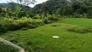 Uks legenda hits full album best of 