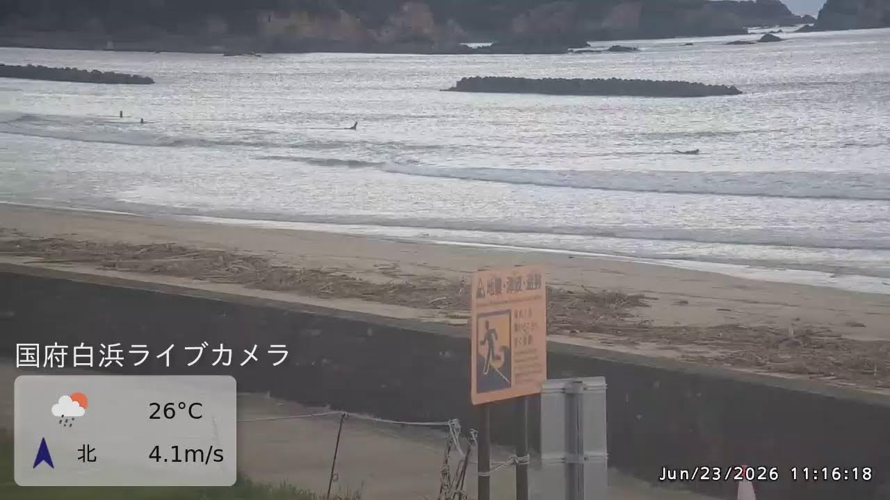 国府の浜 ライブカメラ＆波情報 - Surfers' Ocean