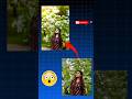 Hypic photo editor background change #trending #ai #lightroom #photoediting