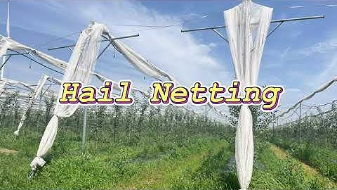 Hail Netting