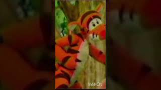 Tiggers Citv Autumn Line Up September 1987