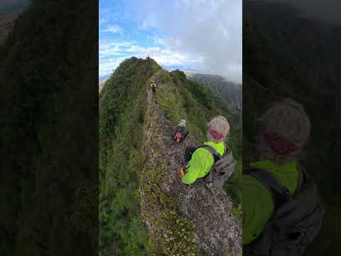 Hiking the Ko'olau Summit Trail on Oahu Hawaii