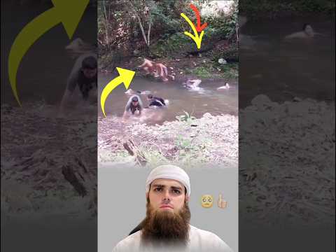 لولم يوجد لطف الله في الأماكن التي تكونو بها لكان الهلاك أقترب منكم تصاميم عبارات لايكي اكسبلاور