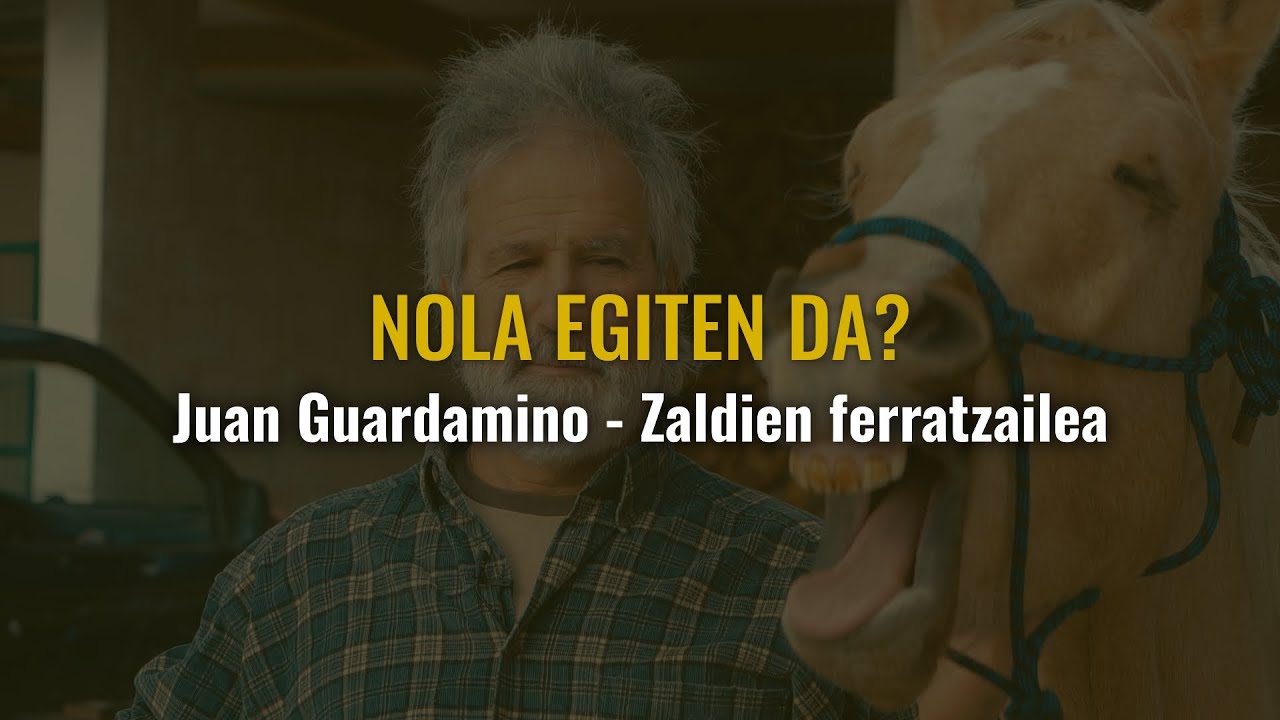 Nola egiten da zaldi baten ferra bat?