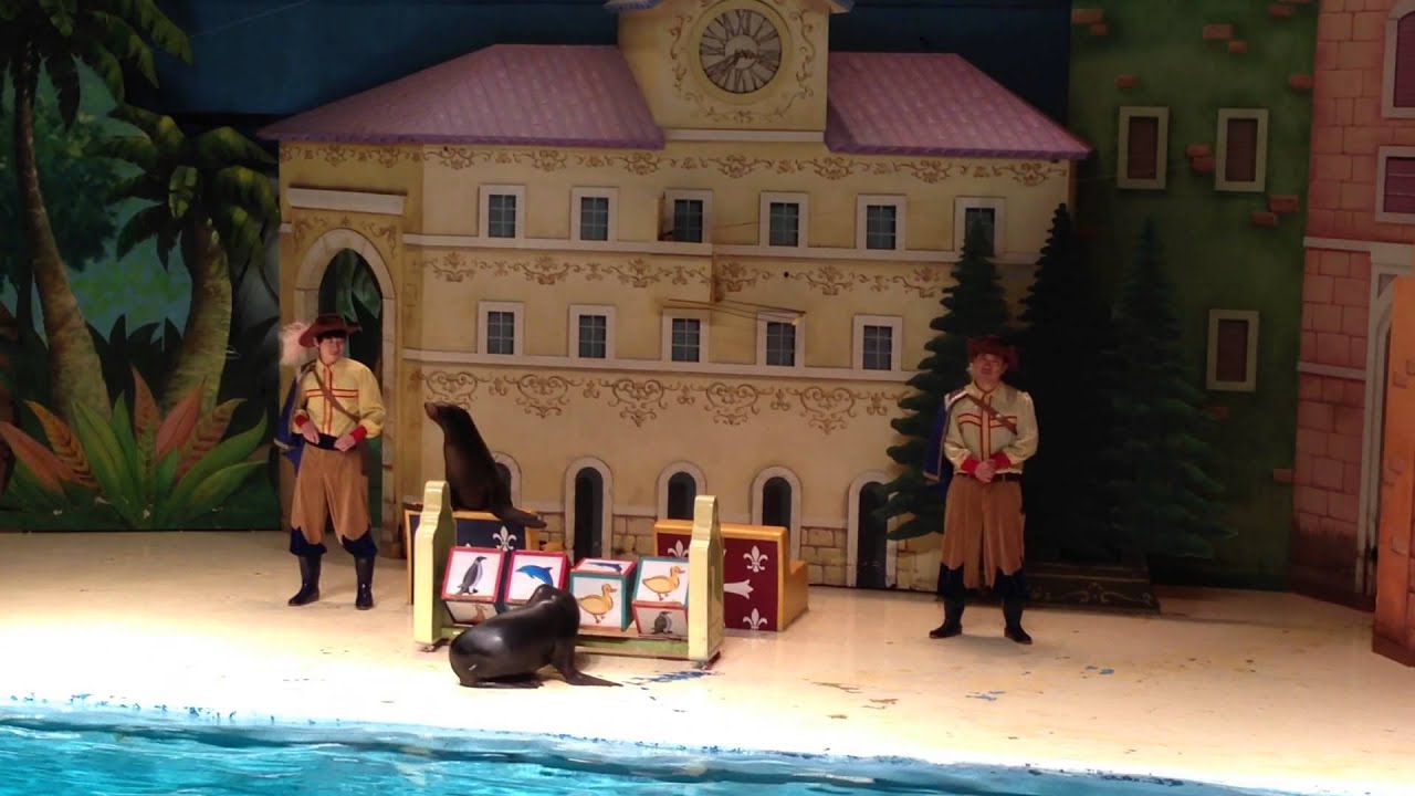 에버랜드 물개 쇼(Everland Sea Lion Show)