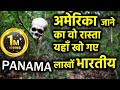 Donki क्या होता हैं ? Story of Panama Jungle #panamajungle #americadunki #usamexicoborder #srkmovie