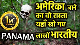 Donki कय हत ह ? Story Of Panama Jungle