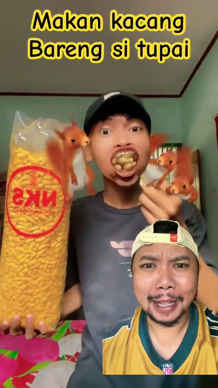 MAKAN KACANG BARENG SI TUPAI!!!? #funny #food #comedy #memes #shortsfeed