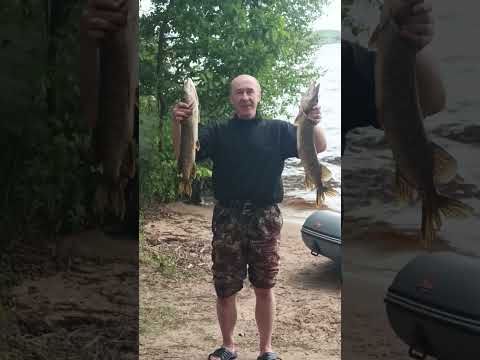 Хороший улов на открытии моторного сезона 2025. #рыбалка #fishing