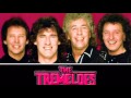 Capture de la vidéo The Tremeloes - Anything  (Master Outtake)