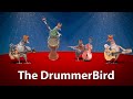 The drummerbird