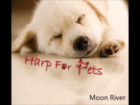 harp music for dogs