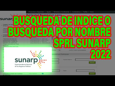 BUSQUEDA DE INDICE O BUSQUEDA POR NOMBRE, SPRL SUNARP, SERVICIOS DE PUBLICIDAD EN LINEA  - 2022