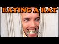 Grubby | Eating A Rat