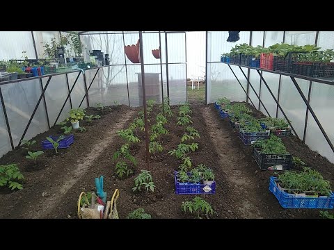Семья-на все руки