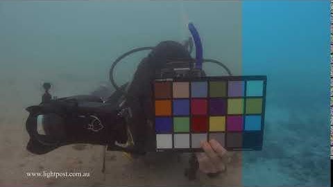 Colour Grading Underwater Video with a Colour Chart and Davinci Resolve.