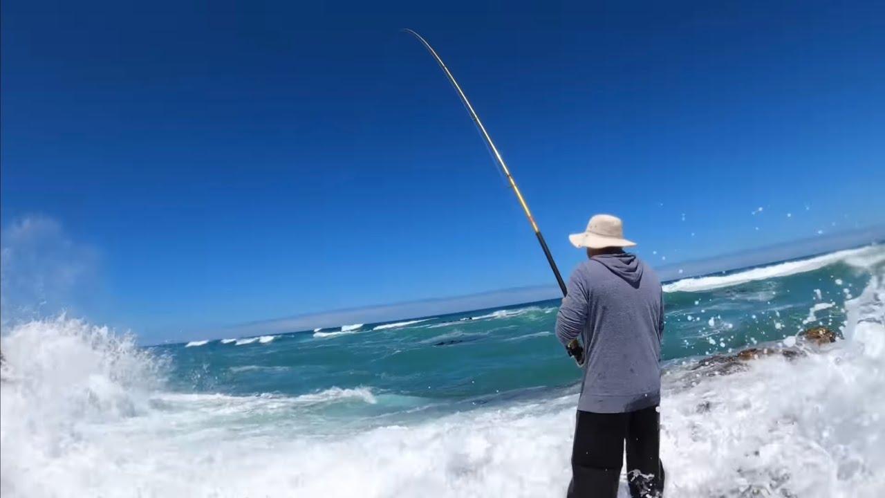 SCOUTING AROUND, LOOKING FOR EDIBLE FISH