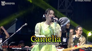 CAMELIA - TASYA ROSMALA _ NEW MONATA _ RAMAYANA AUDIO _ INUL DARATISTA