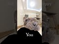 Soobscribe #catmemes #fypシ #smallchannel