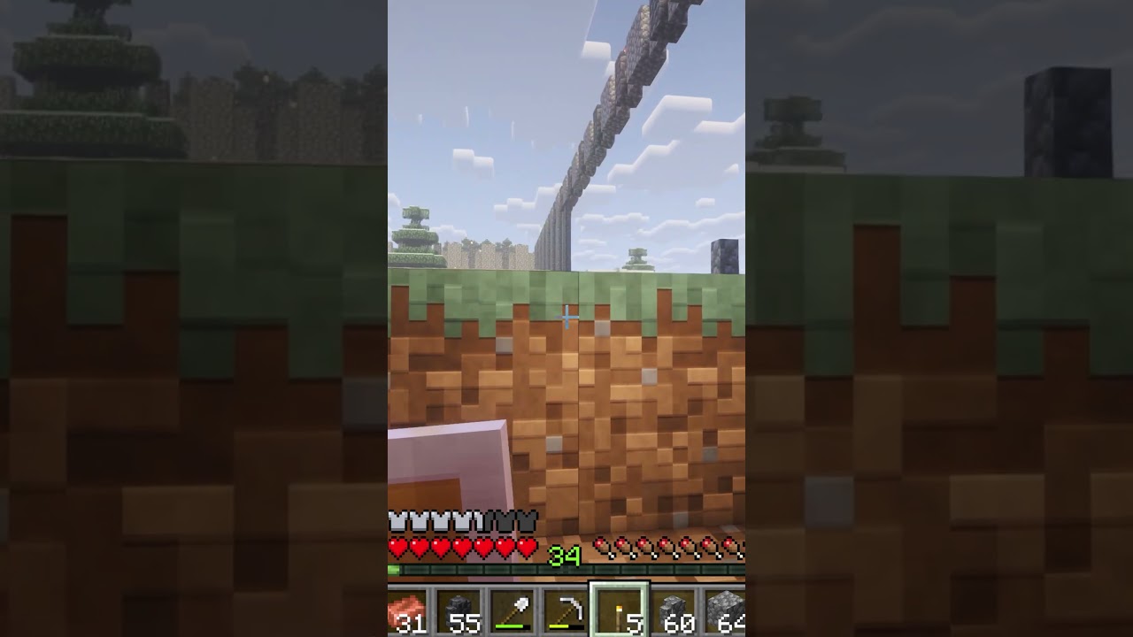 Дайте мне блоки, пожалуйста | Короткие видеоролики по Minecraft SMP