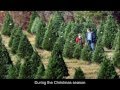 Christmas English subtitles - NEW!